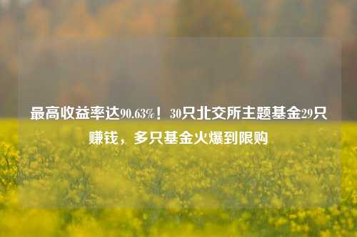 最高收益率达90.63%！30只北交所主题基金29只赚钱，多只基金火爆到限购-第1张图片-解放阁