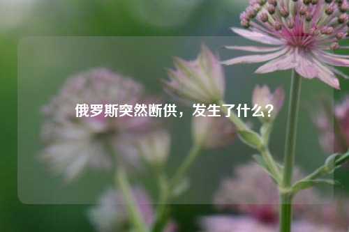 俄罗斯突然断供，发生了什么？-第1张图片-解放阁