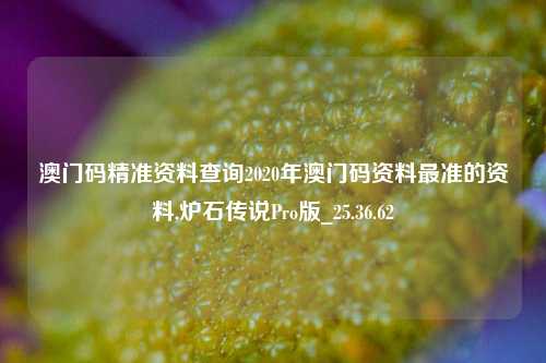 澳门码精准资料查询2020年澳门码资料最准的资料,炉石传说Pro版_25.36.62-第1张图片-解放阁