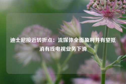 迪士尼接近转折点：流媒体全面盈利并有望抵消有线电视业务下滑-第1张图片-解放阁