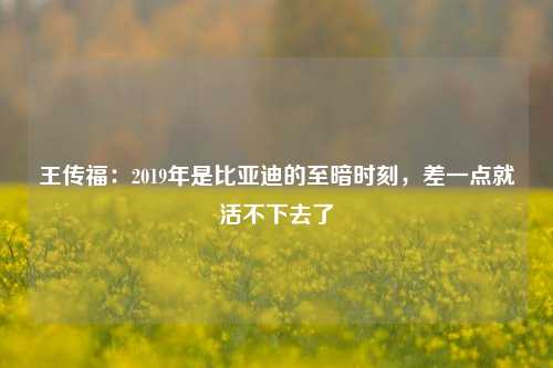 王传福：2019年是比亚迪的至暗时刻，差一点就活不下去了-第1张图片-解放阁