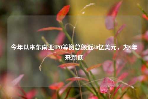 今年以来东南亚IPO筹资总额近30亿美元，为9年来新低-第1张图片-解放阁