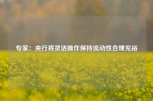 专家：央行将灵活操作保持流动性合理充裕-第1张图片-解放阁