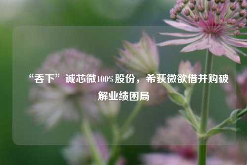 “吞下”诚芯微100%股份，希荻微欲借并购破解业绩困局-第1张图片-解放阁