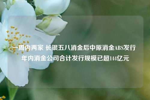 一周内两家 长银五八消金后中原消金ABS发行 年内消金公司合计发行规模已超144亿元-第1张图片-解放阁