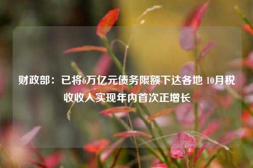 财政部：已将6万亿元债务限额下达各地 10月税收收入实现年内首次正增长-第1张图片-解放阁