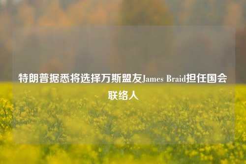 特朗普据悉将选择万斯盟友James Braid担任国会联络人-第1张图片-解放阁