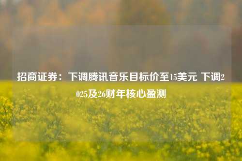 招商证券：下调腾讯音乐目标价至15美元 下调2025及26财年核心盈测-第1张图片-解放阁