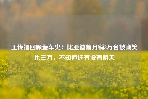 王传福回顾造车史：比亚迪曾月销3万台被嘲笑比三万，不知道还有没有明天-第1张图片-解放阁