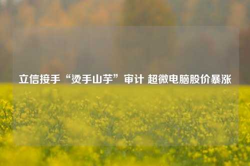 立信接手“烫手山芋”审计 超微电脑股价暴涨-第1张图片-解放阁