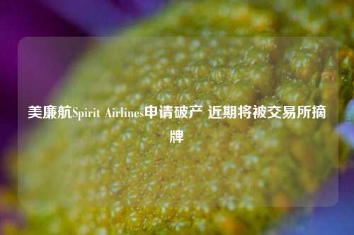 美廉航Spirit Airlines申请破产 近期将被交易所摘牌-第1张图片-解放阁