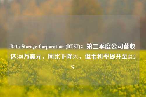 Data Storage Corporation (DTST)：第三季度公司营收达580万美元，同比下降3%，但毛利率提升至43.2%-第1张图片-解放阁