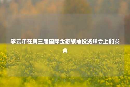 李云泽在第三届国际金融领袖投资峰会上的发言-第1张图片-解放阁