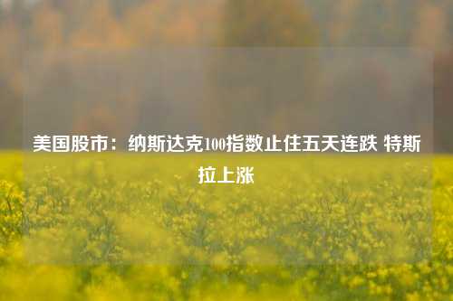 美国股市：纳斯达克100指数止住五天连跌 特斯拉上涨-第1张图片-解放阁