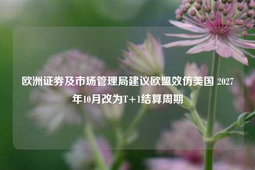 欧洲证券及市场管理局建议欧盟效仿美国 2027年10月改为T+1结算周期-第1张图片-解放阁