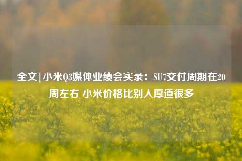 全文|小米Q3媒体业绩会实录：SU7交付周期在20周左右 小米价格比别人厚道很多-第1张图片-解放阁