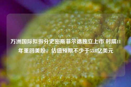 万洲国际拟拆分史密斯菲尔德独立上市 时隔11年重回美股，估值预期不少于53.8亿美元-第1张图片-解放阁