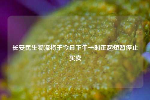 长安民生物流将于今日下午一时正起短暂停止买卖-第1张图片-解放阁