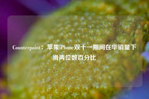 Counterpoint：苹果iPhone双十一期间在华销量下滑两位数百分比-第1张图片-解放阁