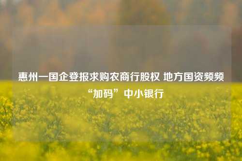 惠州一国企登报求购农商行股权 地方国资频频“加码”中小银行-第1张图片-解放阁