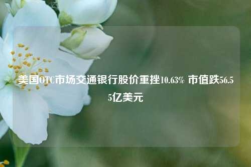 美国OTC市场交通银行股价重挫10.63% 市值跌56.55亿美元-第1张图片-解放阁