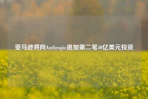 亚马逊将向Anthropic追加第二笔40亿美元投资-第1张图片-解放阁