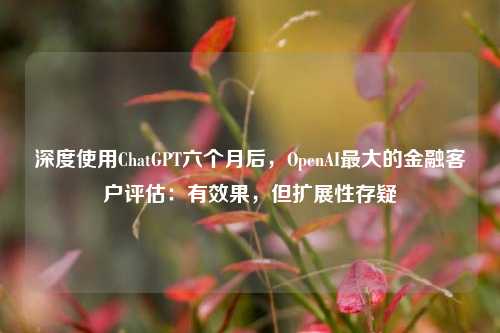 深度使用ChatGPT六个月后，OpenAI最大的金融客户评估：有效果，但扩展性存疑-第1张图片-解放阁