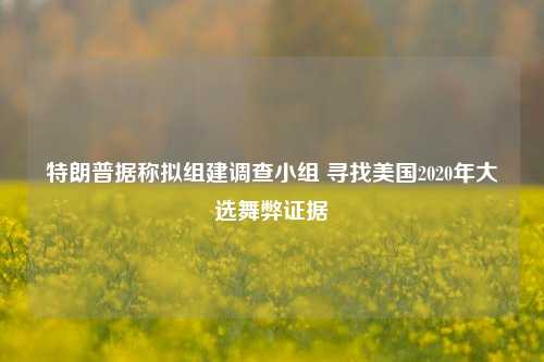 特朗普据称拟组建调查小组 寻找美国2020年大选舞弊证据-第1张图片-解放阁