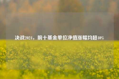 决战2024，前十基金单位净值涨幅均超40%-第1张图片-解放阁