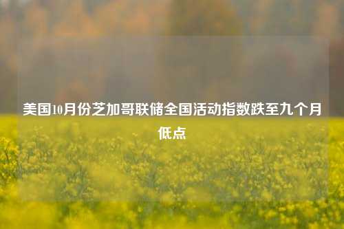 美国10月份芝加哥联储全国活动指数跌至九个月低点-第1张图片-解放阁