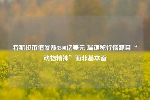 特斯拉市值暴涨3500亿美元 瑞银称行情源自“动物精神”而非基本面-第1张图片-解放阁