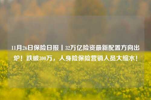 11月26日保险日报丨32万亿险资最新配置方向出炉！跌破300万，人身险保险营销人员大缩水！-第1张图片-解放阁