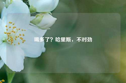 喝多了？哈里斯，不对劲-第1张图片-解放阁