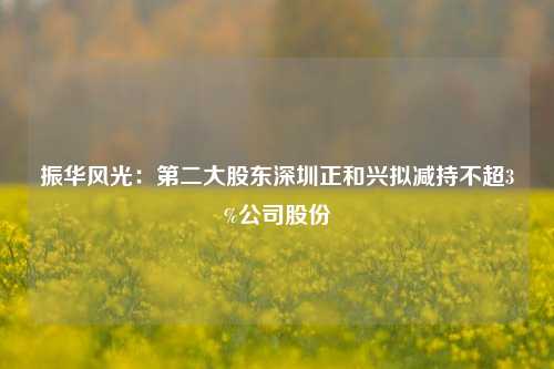 振华风光：第二大股东深圳正和兴拟减持不超3%公司股份-第1张图片-解放阁