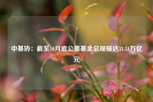 中基协：截至10月底公募基金总规模达31.51万亿元-第1张图片-解放阁