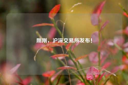 刚刚，沪深交易所发布！-第1张图片-解放阁