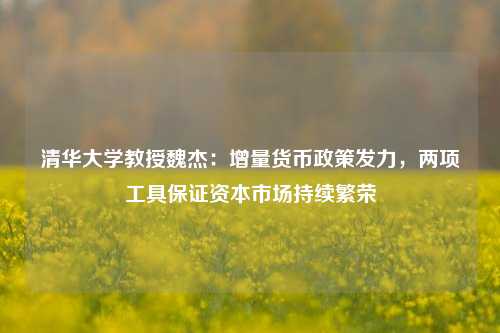 清华大学教授魏杰：增量货币政策发力，两项工具保证资本市场持续繁荣-第1张图片-解放阁