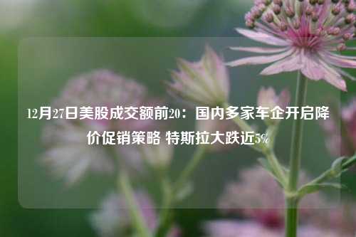 12月27日美股成交额前20：国内多家车企开启降价促销策略 特斯拉大跌近5%