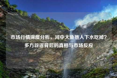 市场行情深度分析，河中大鱼拖人下水吃掉？多方辟谣背后的真相与市场反应