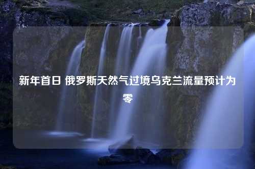 新年首日 俄罗斯天然气过境乌克兰流量预计为零