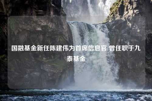 国融基金新任陈建伟为首席信息官 曾任职于九泰基金