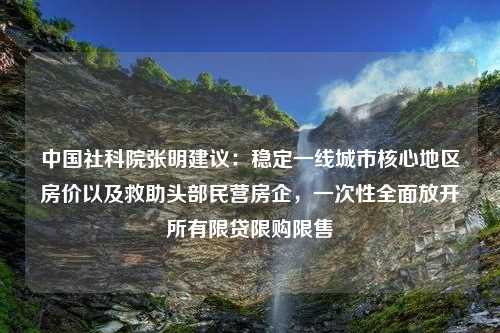 中国社科院张明建议：稳定一线城市核心地区房价以及救助头部民营房企，一次性全面放开所有限贷限购限售