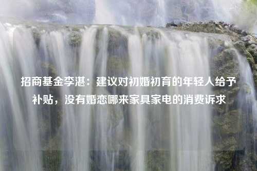 招商基金李湛：建议对初婚初育的年轻人给予补贴，没有婚恋哪来家具家电的消费诉求