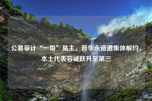 公募审计“一哥”易主，普华永道遭集体解约，本土代表容诚跃升至第三