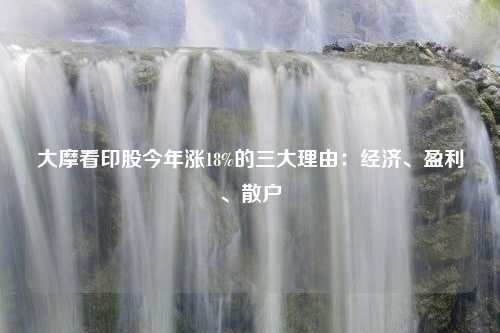 大摩看印股今年涨18%的三大理由：经济、盈利、散户