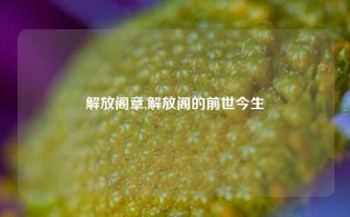 解放阁章,解放阁的前世今生