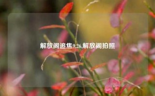 解放阁追焦9.26,解放阁拍照