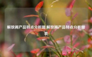 解放阁产品特点分析图,解放阁产品特点分析图表