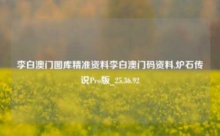 李白澳门图库精准资料李白澳门码资料,炉石传说Pro版_25.36.92