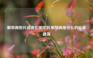 解放阁照片滤镜在哪找到,解放阁是什么的标志建筑